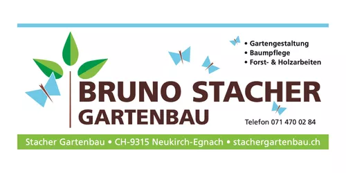 BRUNO STACHER